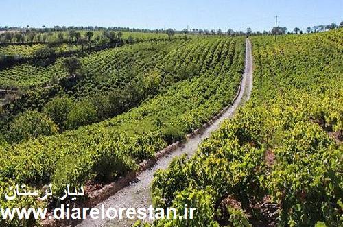 تنگ سیاب تنگ سیاب