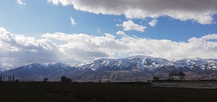 شیر برفی شیر برفی