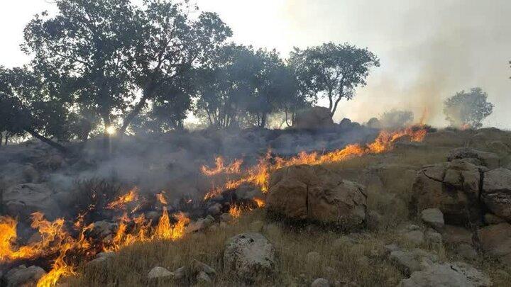 آتشسوزی در جنگل های منطقه تنوم پلدختر آتشسوزی در جنگل های منطقه تنوم پلدختر